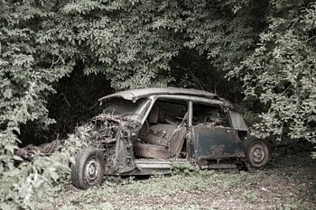 La Citroën DS dans les bois