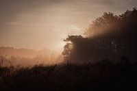Le souffle du matin