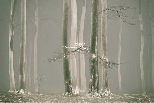 Only a few by Lars van de Goor