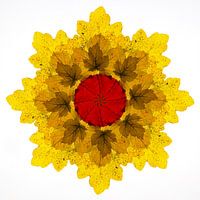 Caleidoscoop van herfstbladeren