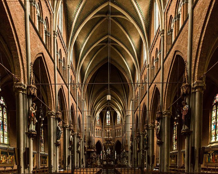 Veghel Sint Lambertuskerk van Saranda in t Veld Fotografie