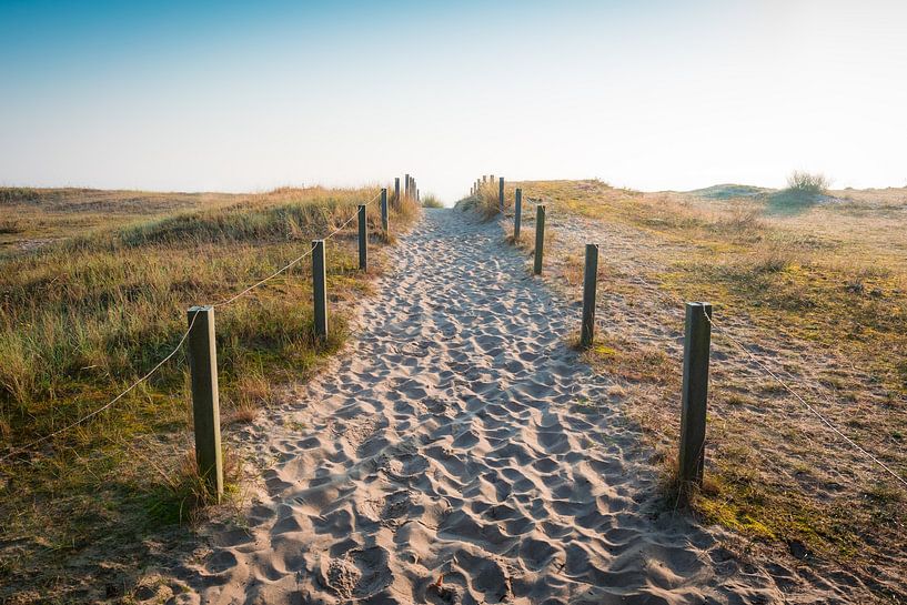Way to the sea by Martin Wasilewski