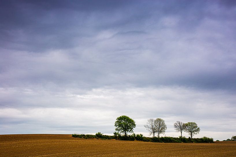 Op een rij by Ulbe Spaans