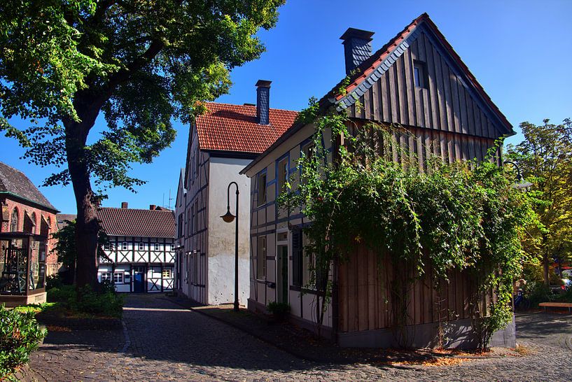 Walvisdruppel 5 van Edgar Schermaul