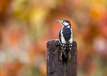 Un avenir brillant !