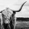 Scottish highlander portrait by Richard Guijt Photography