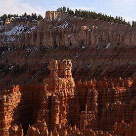 Bryce Canyon National Park by Matthias Brix