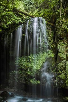 Wasserfall im Elbsandsteingebirge von Heiko Lehmann