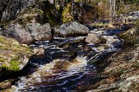 wild water