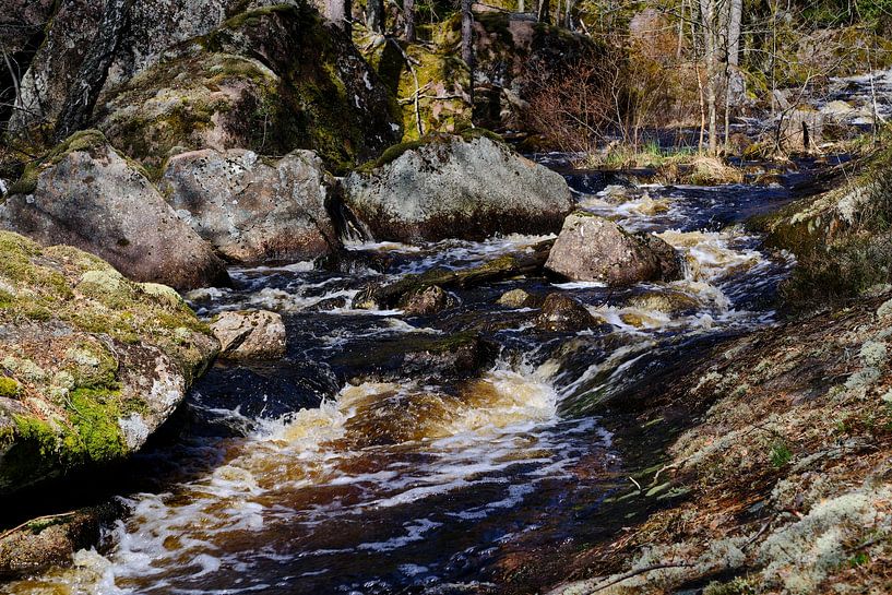 wild water by Geertjan Plooijer