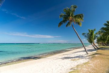 Dream beach Mauritius by Peter Schickert