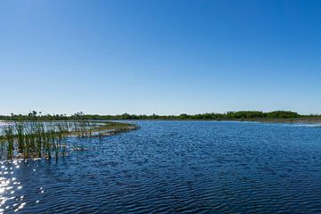 USA, Florida, Schneller Airboat-Trip durch die Natur und Landschaft der Everglades von adventure-photos
