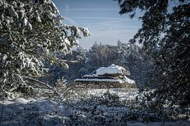 Winthertales van Guy Bostijn