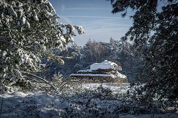 Winthertales von Guy Bostijn