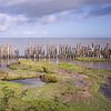 Wattenmeer von Fotografie Egmond