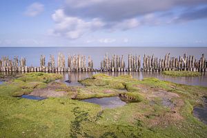 Wattenmeer