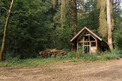 An abandoned barn among the trees by Geert Van Baelen