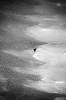 kindje spelend op het strand