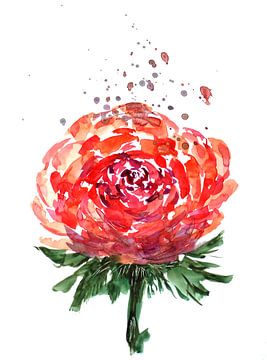Rote Rose mit Spritzern von Sebastian Grafmann