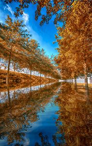 Autumn landscape with reflection by Egon Zitter
