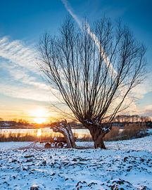 Winter landscape at the creek