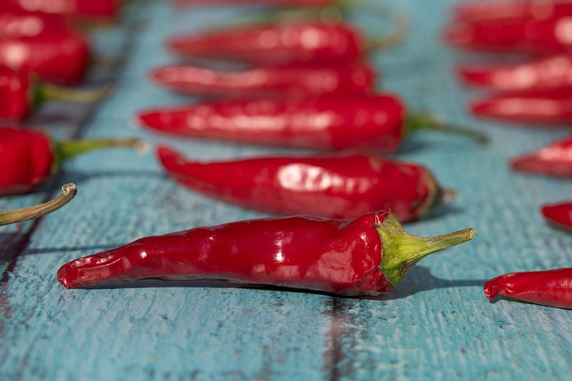 Rote Pepperoni von Ulrike Leone