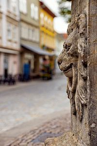 Arnstadt in Thüringen