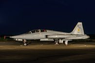 Northrop NF-5B Freedom Fighter van de Koninklijke Luchtmacht. van Jaap van den Berg thumbnail