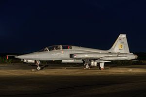 Northrop NF-5B Freedom Fighter der Königlichen Niederländischen Luftstreitkräfte. von Jaap van den Berg