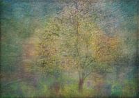 Impressions d'un arbre