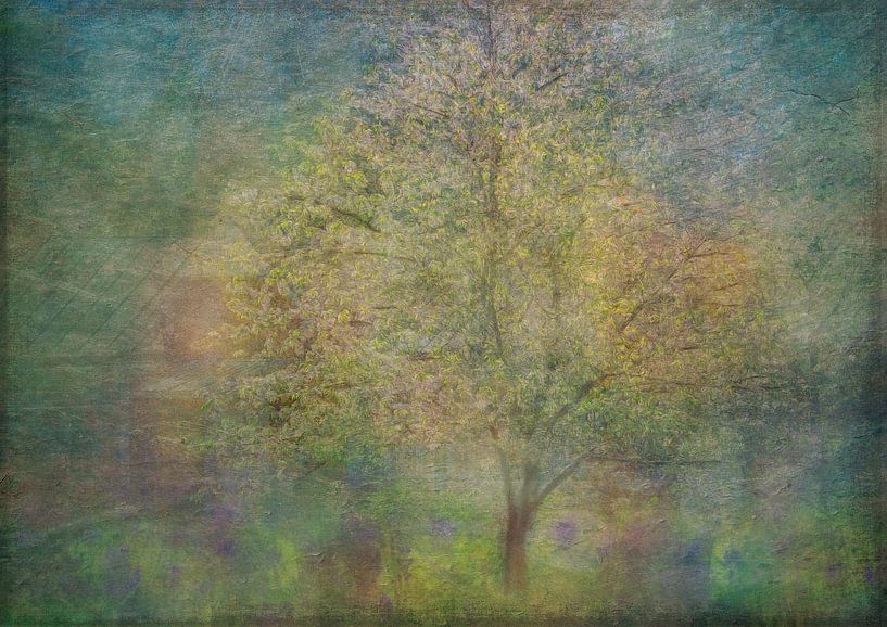 Eindrücke von einem Baum von Katarina Holmström