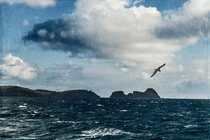 Cabo de Sao Lourenco Silhouet van Dirk Wüstenhagen