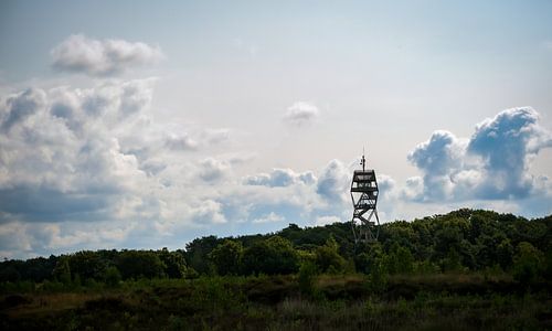 Fire tower Kalmthoutse Heide