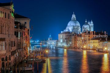 Prachtig zicht op de Basiliek Van Santa Maria della Salute in Venetië van Roy Poots