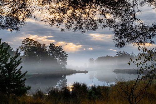 Lichte mist bij het Kiezelven