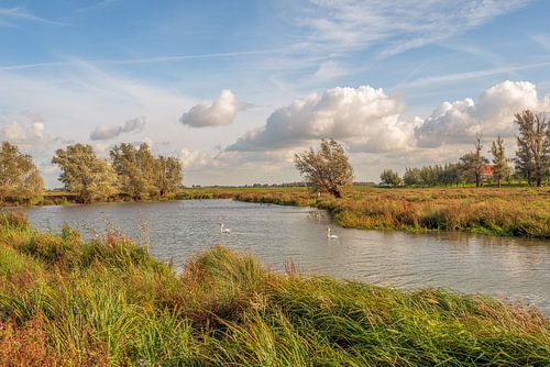 Brabant Biesbosch in Herbstfarben, Werkendam von Ruud Morijn