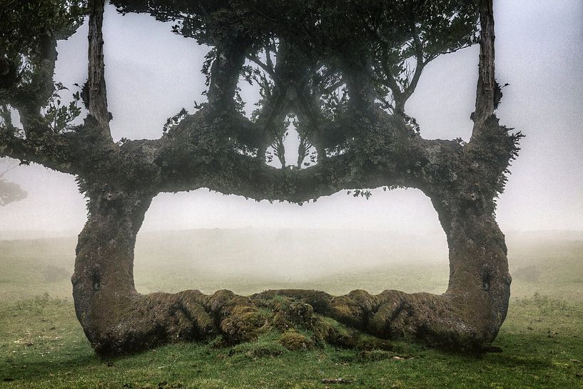 Verera do Fanal van Henk Leijen