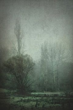 A dark morning