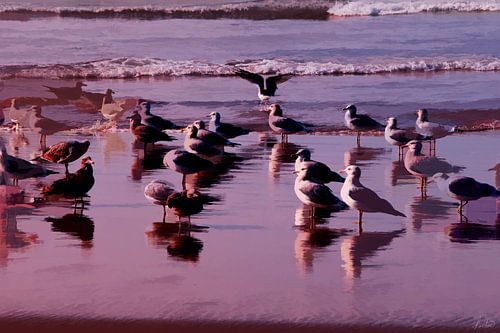Waiting For The Sunset