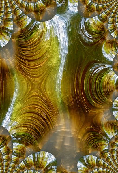 in the forest - Fractals I by Steffi Hommel