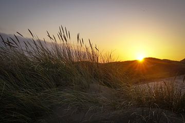 Duin tussen Katwijk en Noordwijk van Dirk van Egmond