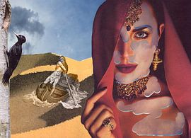 Der Specht von Charon