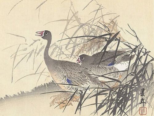 Imao Keinen - Twee ganzen tussen het riet (1892-1911)