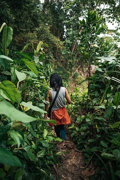 A hike through the Thai jungles by Raymond Gerritsen