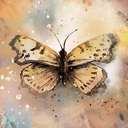 Potlood tekening vlinder digitaal ingekleurd