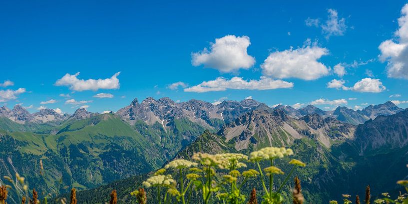 Allgäuer Hauptkamm par Walter G. Allgöwer
