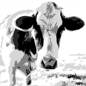 Vache sur Affect Fotografie