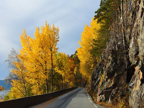 Herbstliche Schönheit in Norwegen (bei Bergen)