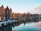 Amsterdam van Ali Celik thumbnail