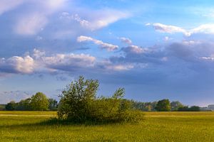 Landschaft in den Auen der IJssel im Frühling